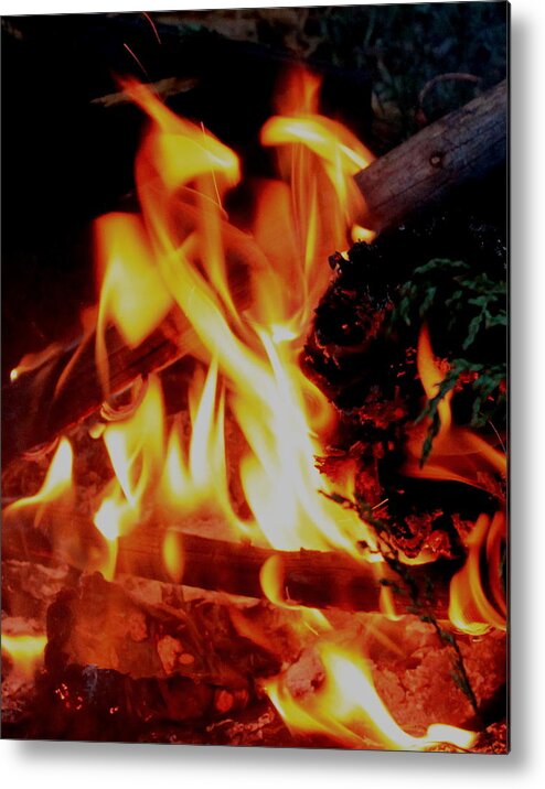 Fire Metal Print featuring the photograph Heart Of Fire by Trent Mallett