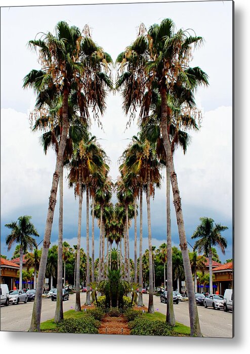 Venice Island Florida Metal Print featuring the photograph Heart Of Palms by Barbara Chichester