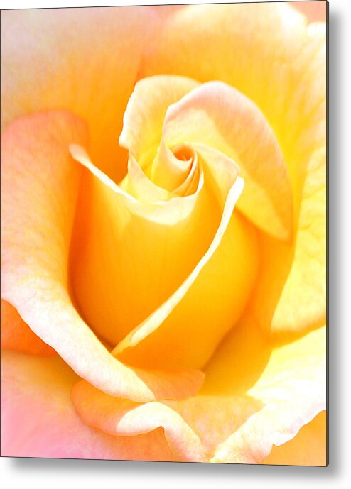Roses Metal Print featuring the photograph Her Sweet Perfume by The Art Of Marilyn Ridoutt-Greene
