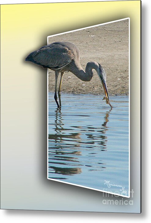 Fauna Metal Print featuring the photograph Heron and Sea-horse by Mariarosa Rockefeller