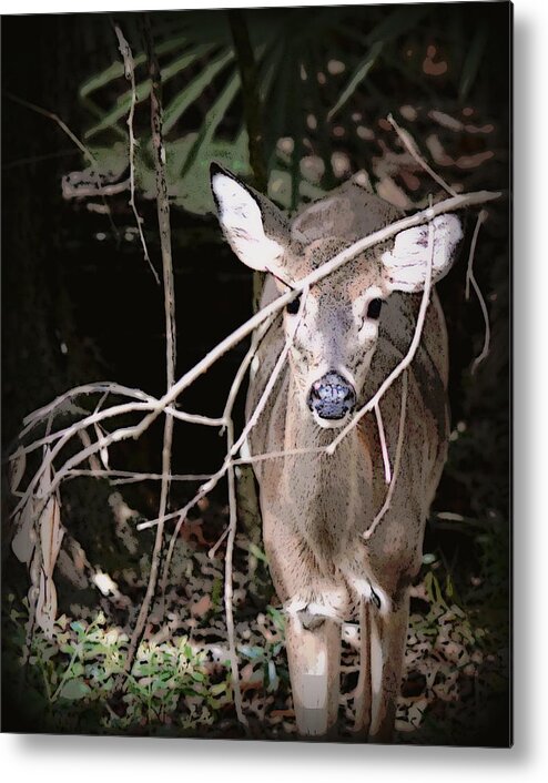 Doe Metal Print featuring the photograph Hiding Doe 1 by Sheri McLeroy