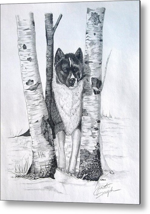 Dog Prints Metal Print featuring the drawing Ihasa in the Woods by Joette Snyder