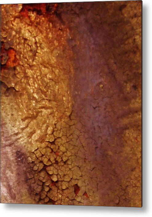 Rust Photographs Metal Print featuring the photograph Jewel in the Rust by Charles Lucas