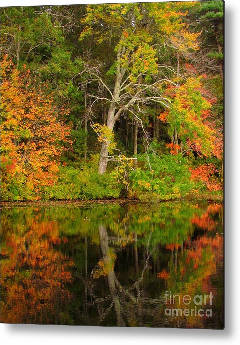 Waterscapes Metal Print featuring the photograph Killingly Autumn Reflections IX by Lili Feinstein
