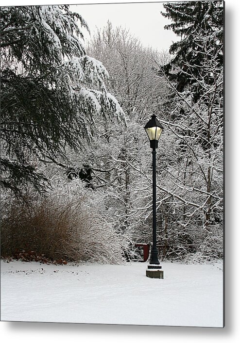 Lamp Post Metal Print featuring the photograph Lamp Post in Winter by William Selander