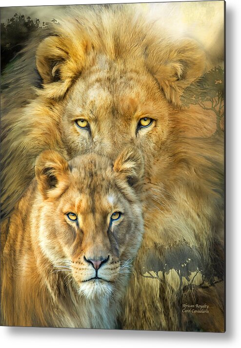 Lion Metal Print featuring the mixed media Lion And Lioness- African Royalty by Carol Cavalaris