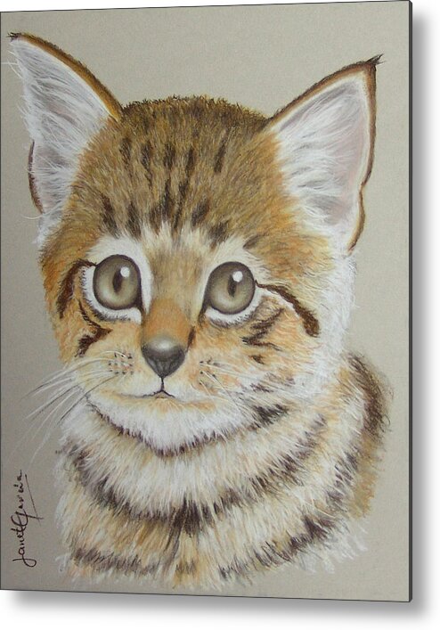 Cat Metal Print featuring the pastel Little Kitty by Janet Garcia