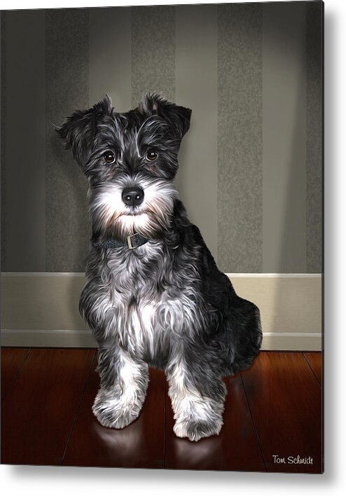 Schnauzer Portraits Metal Print featuring the painting Lucy Lov'd Alot by Tom Schmidt