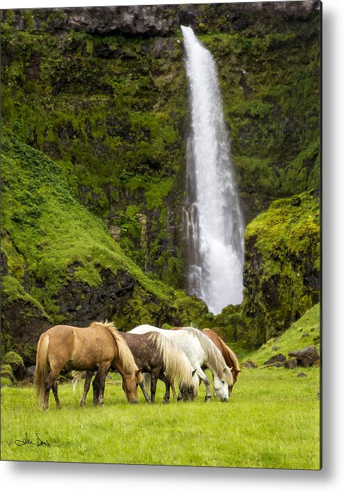 Equine Metal Print featuring the photograph Lunch At The Waterfall by Joan Davis