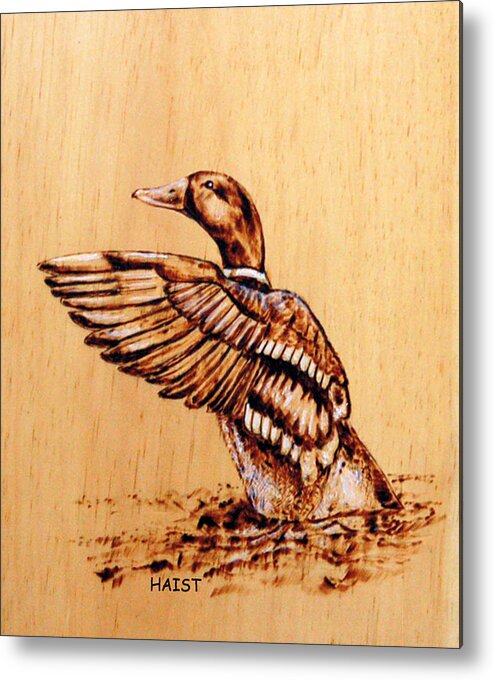 Mallard Metal Print featuring the pyrography Mallard by Ron Haist