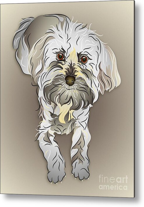 Graphic Dog Metal Print featuring the digital art Maltipoo by MM Anderson