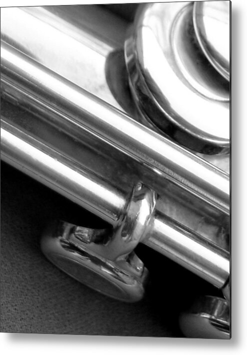 Musical Instruments Metal Print featuring the photograph Metallic by Lisa Phillips