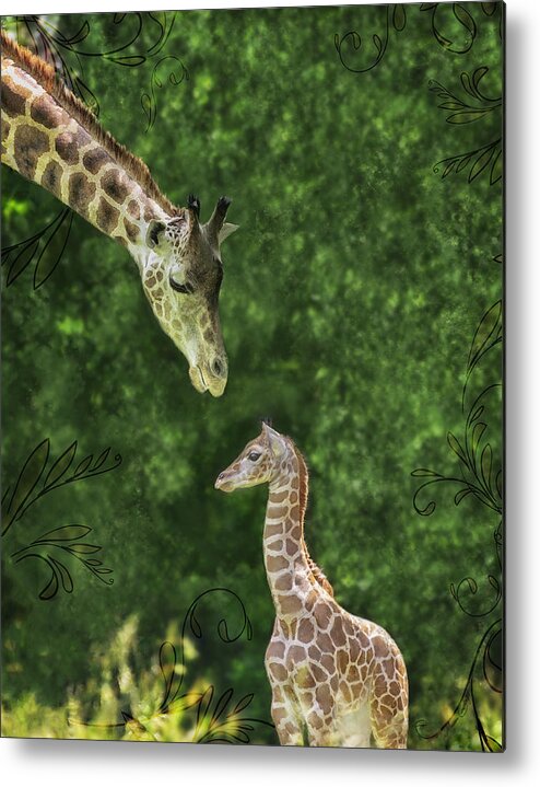 Giraffe Metal Print featuring the photograph Momma Loves Me by Marianne Campolongo