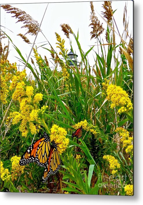 East Point Lighthouse Metal Print featuring the photograph Monarchs at East Point Lighthouse by Nancy Patterson