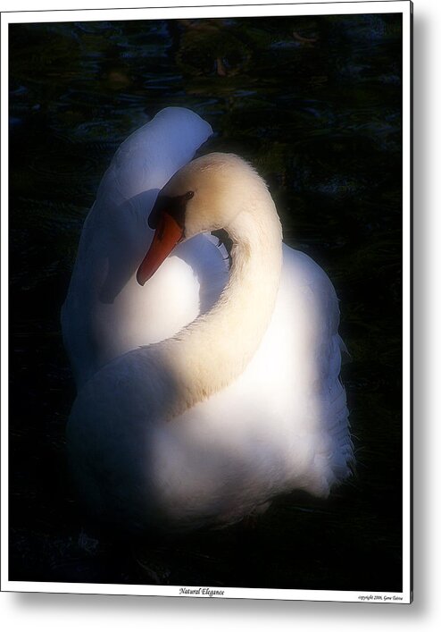 Elegance Metal Print featuring the photograph Natural Elegance by Gene Tatroe