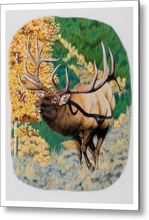 Nevada Metal Print featuring the painting Nevada Nontypical Elk by Darcy Tate