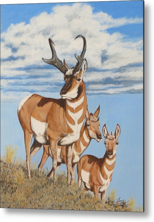 Pronghorn Metal Print featuring the painting Nevada Speedsters by Darcy Tate