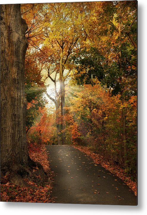 Autumn Metal Print featuring the photograph October Finale by Jessica Jenney