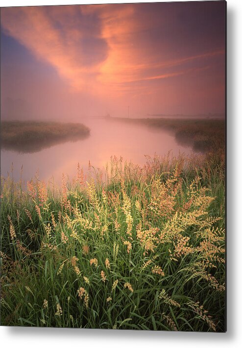 Sunset Metal Print featuring the photograph Pastel Portrait by Ray Mathis