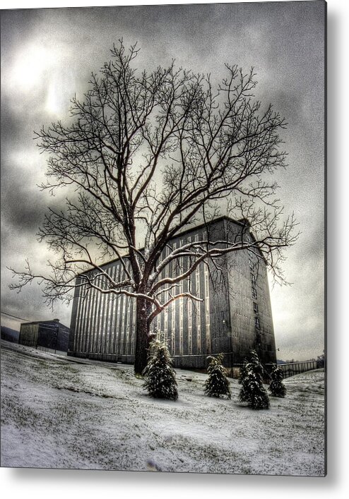Landscape Metal Print featuring the photograph Patiently Waiting by Mark Six