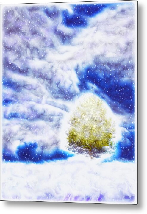 Digital Metal Print featuring the digital art Pine Tree in Winter by Lilia S