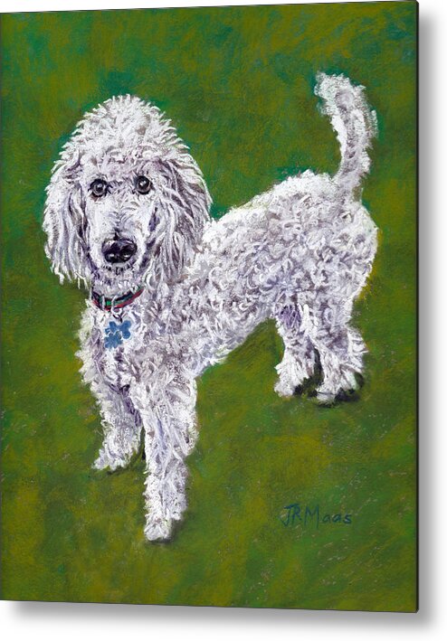 White Curly Poodle Metal Print featuring the pastel Poodle Pal by Julie Maas