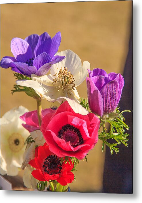 Poppies Metal Print featuring the photograph Poppies by Patricia Schaefer