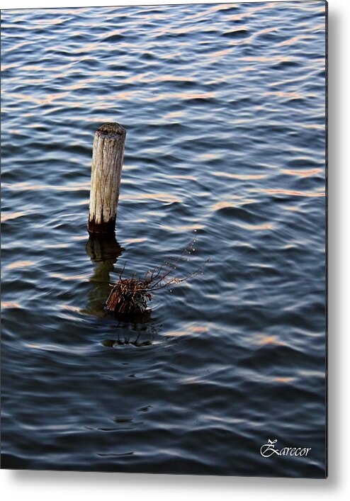 Water Metal Print featuring the photograph Post of the Past by David Zarecor