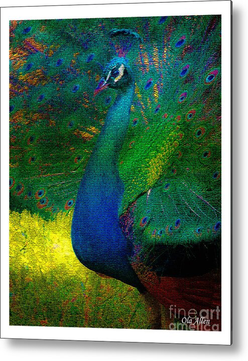 Peacock Metal Print featuring the photograph Pretty as a Peacock by Ola Allen