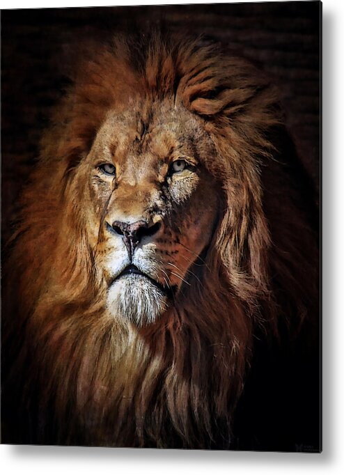 Lions Metal Print featuring the mixed media Proud N Powerful by Elaine Malott