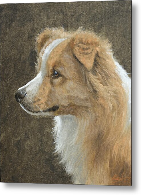 Border Collie Metal Print featuring the painting Red Border Collie Portrait by John Silver