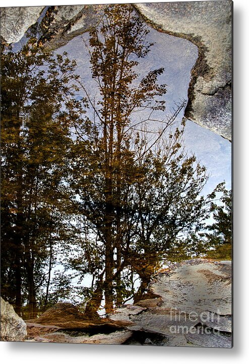 Reflections Metal Print featuring the photograph Reflections by Jemmy Archer