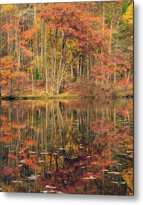 Fall Metal Print featuring the photograph Reflections Of Fall by Dan Myers