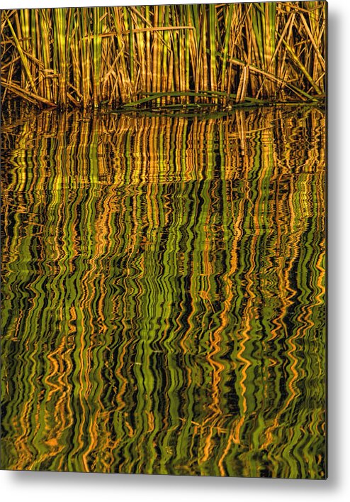 Kansas Metal Print featuring the photograph Reflections by Rob Graham