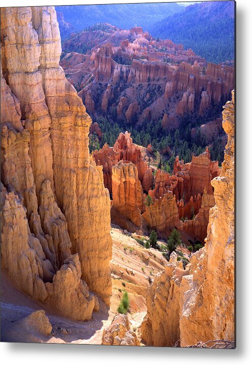 Bryce Canyon National Park Metal Print featuring the photograph Rim Trail by Ray Mathis
