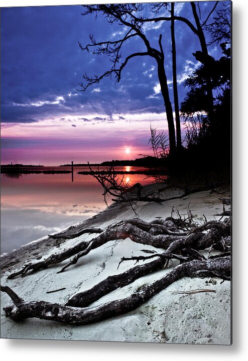 River Sunset Sandy Bank Exposed Forest Roots Art Metal Print featuring the photograph River Forest Sunset Exposed Twisted Tree Roots Beach Art Prints by Eszra