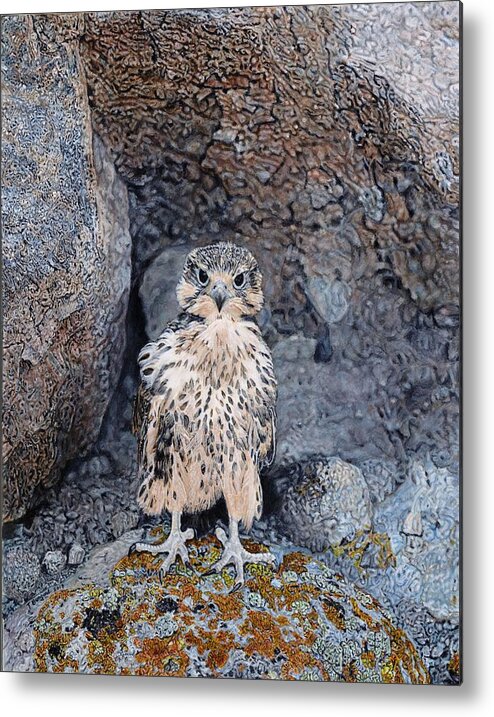 Raptor Metal Print featuring the painting Rocky by Terry Bungard