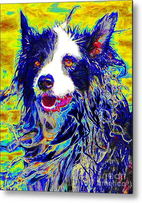 Animal Metal Print featuring the photograph Sheep Dog 20130125v1 by Wingsdomain Art and Photography