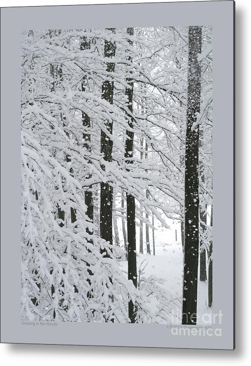 Landscape Metal Print featuring the photograph Snowing in the Woods by Patricia Overmoyer