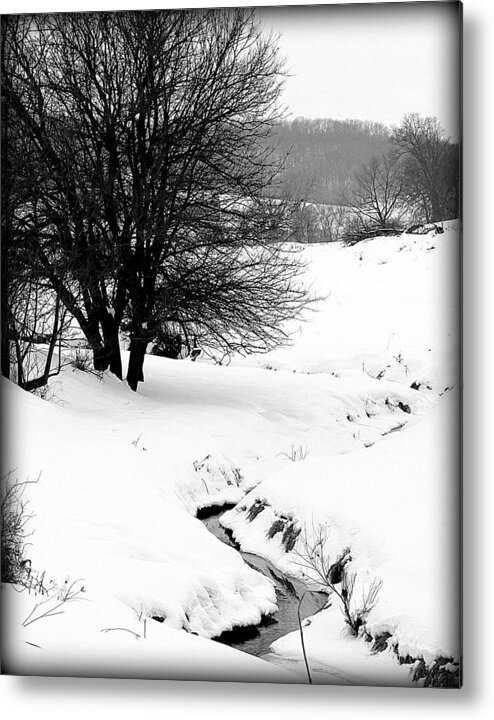 Black And White Metal Print featuring the photograph Snowy Stream by Alexandra Rampolla