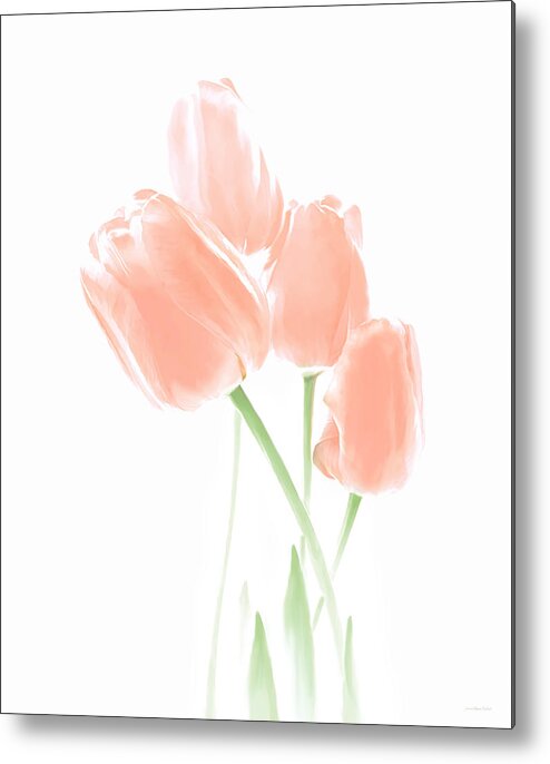 Tulip Metal Print featuring the photograph Softness of Peach Tulip Flowers by Jennie Marie Schell