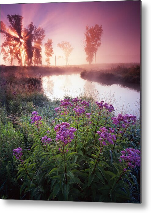 Sunset Metal Print featuring the photograph Star in the Fog by Ray Mathis