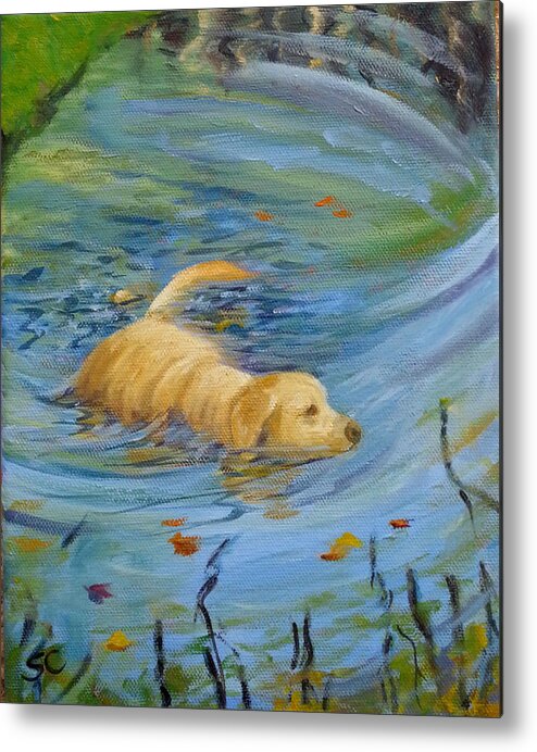 Swimming Metal Print featuring the painting Star Swimming by Sharon Casavant