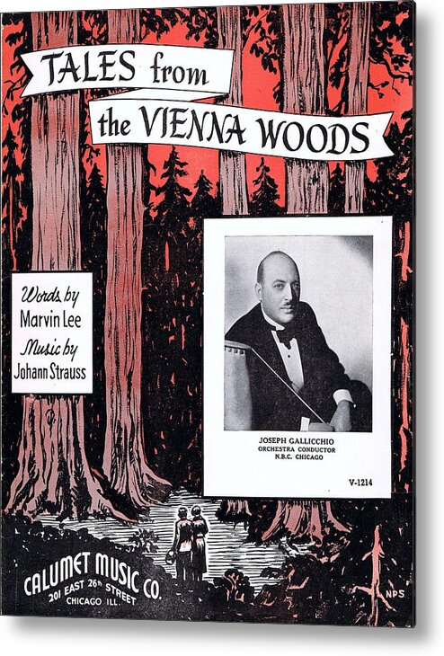 Nostalgia Metal Print featuring the photograph Tales From the Vienna Woods by Mel Thompson