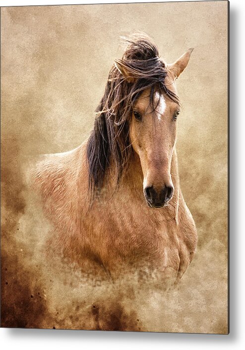 Equine Metal Print featuring the photograph The Proud by Ron McGinnis