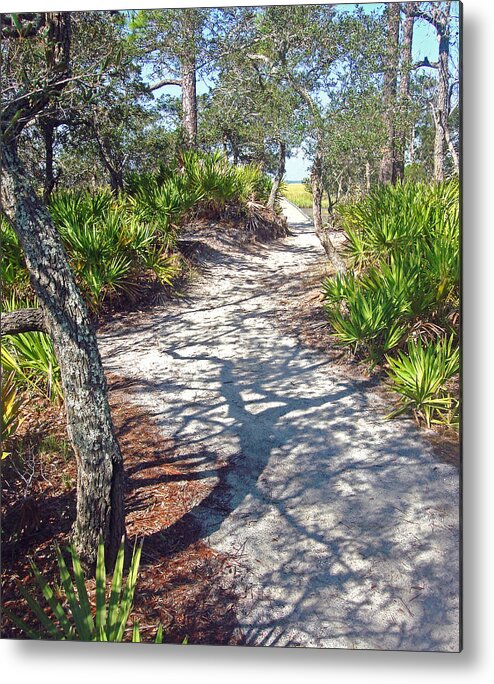 Winding Metal Print featuring the photograph The Winding Path by Ellen Tully