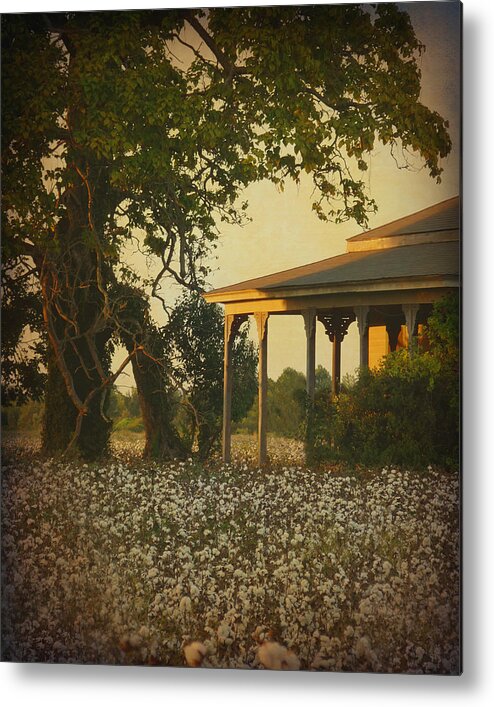 Old House Metal Print featuring the photograph Those Old Cotton Fields Back Home by Terry Eve Tanner