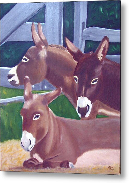 Donkey Metal Print featuring the photograph Three Donkeys by Natalie Rotman Cote