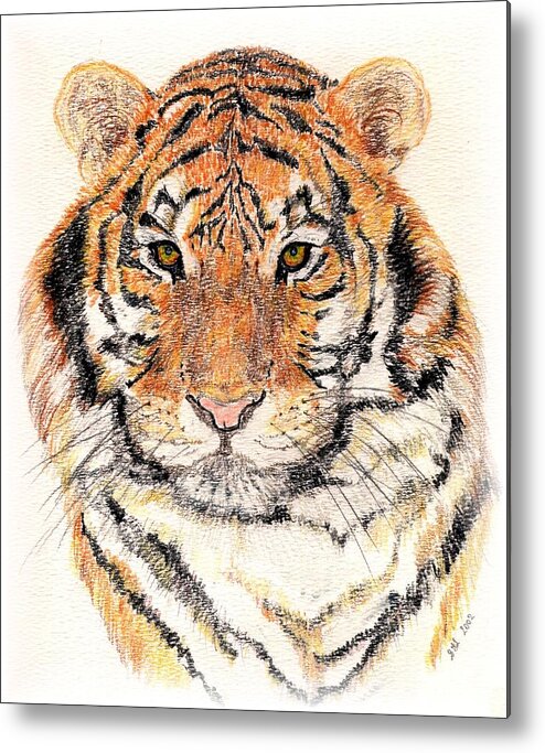 Tiger Metal Print featuring the drawing Tiger Bright by Stephanie Grant