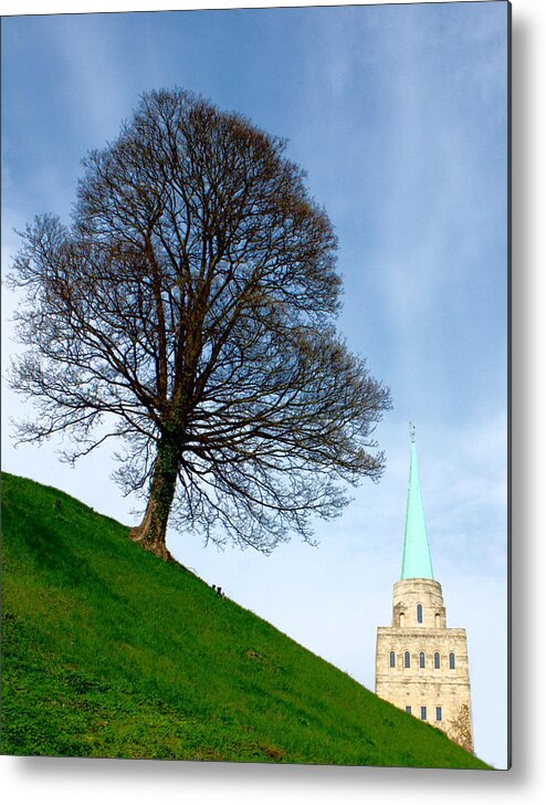 Canon Metal Print featuring the photograph Tree on a Hill by Jeremy Hayden